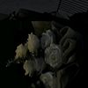 rio_333m