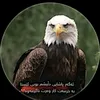 mahmad12461