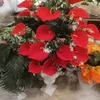 wathaqalmhalawy81