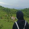 rrs_kaaa