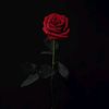 _feelingsgood_