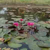 lethanhha138
