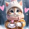 ayant755