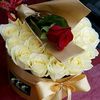 eliofhamed