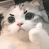 walang_saisai