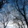 houssam_khokho