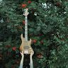 guitar_lessions_perm