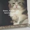 ianenmuse