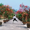nangamgarden