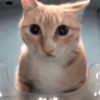 haku_http