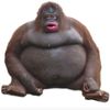 monke_like_banana132
