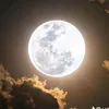 moonfall.star