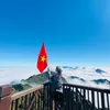 thutranggg44