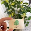 noor_ej