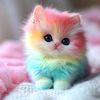 mikhaila_132014
