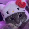 celinew555