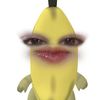 skhhjdgbs