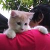 iwan.putra682