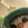 deobietgicaa
