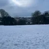 sideduck95