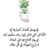 mrymhashem10