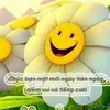 user382008628983