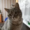 irinamartinova5