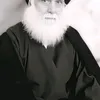 mahernajehawadalziyadi
