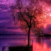its_yowr