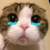phuonghjeuu
