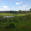 ademirlima022