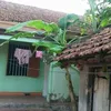 khoaivantran
