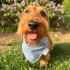 burtonqdog