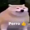 arroskonuebo