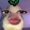 karlahernandez4632