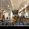 gymrat1234_123