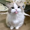 naora_aqueen