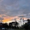 oranglain_167