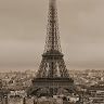 frenchie382