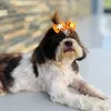belinha.maite.xico