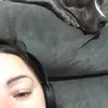oliviavolek