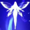varelius_2