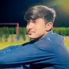 malikalihamza3669