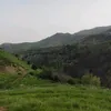 armandosman506
