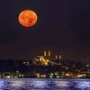 belgin_51