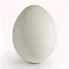 just_white_egg