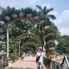 hoangthuong311365