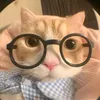 nquynh51212
