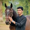 shahzain1750