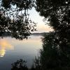 thalassophiles_